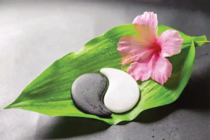 in-home physical therapy Big Island flowers and zen